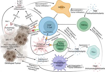 Mechanisms of Immunotherapy Resistance in Cutaneous Melanoma: Recognizing a Shapeshifter